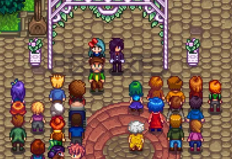 Stardew Valley Marriage Candidates Tier List